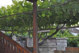 Гостевой дом Guesthouse Dariali Мцхета-7